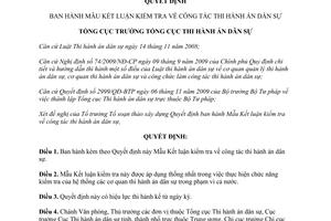 Quyết định 302/QĐ-TCTHADS 2013 Mẫu Kết luận kiểm tra thi hành án dân sự