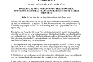 Công điện 06/CĐ-BNN-TCLN phòng chữa cháy rừng