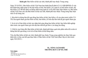 Công văn 993/BHXH-CST 2013 in thông báo kết quả đóng tờ rời bảo hiểm xã hội hàng năm