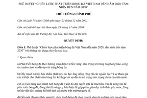 Quyết định 419/QĐ-TTg năm 2013 phê duyệt Chiến lược phát triển bóng đá Việt Nam