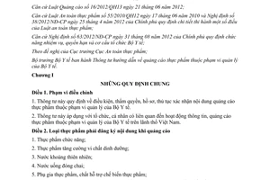 Thông tư 08/2013/TT-BYT hướng dẫn quảng cáo thực phẩm Bộ Y tế quản lý