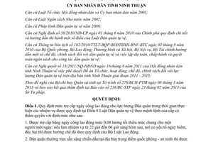 Quyết định 16/2013/QĐ-UBND trợ cấp ngày công lao động cho dân quân Ninh Thuận