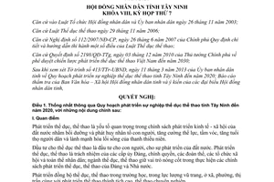 Nghị quyết 06/2013/NQ-HĐND phát triển sự nghiệp thể dục thể thao Tây Ninh