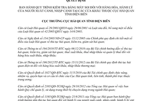 Quyết định 55/QĐ-HQDB năm 2013 Quy trình kiểm tra bằng máy soi hàng hóa hành lý