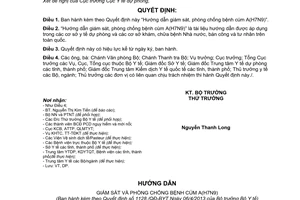 Quyết định 1128/QĐ-BYT năm 2013 Hướng dẫn giám sát phòng chống bệnh cúm A