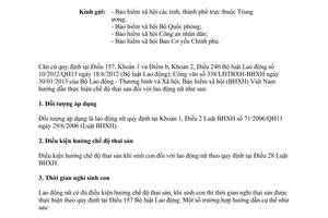 Công văn 1477/BHXH-CSXH hướng dẫn thực hiện chế độ thai sản 2013