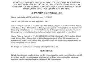 Quyết định 133/2013/QĐ-UBND mức trợ cấp đóng góp người nghiện ma túy bán dâm cộng đồng Bắc Ninh