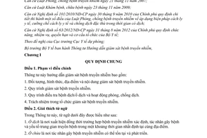 Thông tư 13/2013/TT-BYT hướng dẫn giám sát bệnh truyền nhiễm