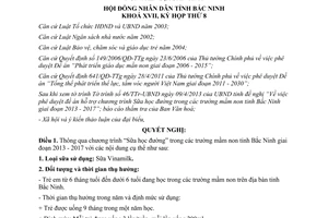 Nghị quyết 79/2013/NQ-HĐND17 Chương trình Sữa học đường trong trường mầm non
