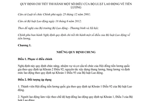 Nghị định 49/2013/NĐ-CP hướng dẫn Bộ luật Lao động về tiền lương