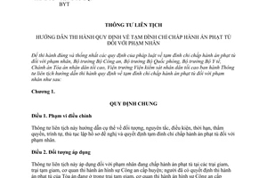 Thông tư liên tịch 03/2013/TTLT-BCA-TANDTC-VKSNDTC-BQP-BYT hướng dẫn án phạt tù