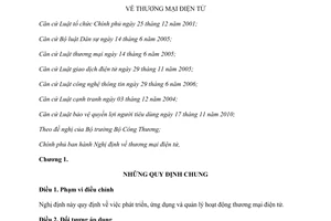 Nghị định 52/2013/NĐ-CP thương mại điện tử