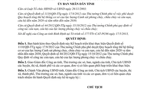 Quyết định 1334/QĐ-UBND 2013 Kế hoạch thực hiện 1110/QĐ-TTg 44/2012/QĐ-TTg Bình Định