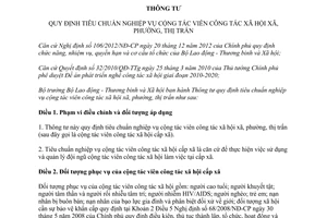 Thông tư 07/2013/TT-BLĐTBXH tiêu chuẩn nghiệp vụ cộng tác viên công tác xã hội