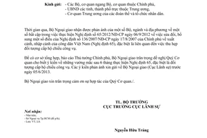 Công văn 1810/BNG-LS 2013 đối tượng cấp hộ chiếu ngoại giao hộ chiếu công vụ