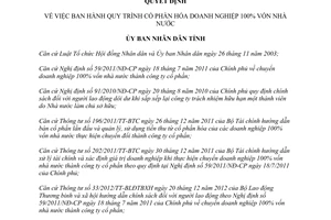 Quyết định 867/QĐ-UBND 2013 về cố phần hoá doanh nghiệp 100% vốn nhà nước tỉnh Thừa Thiên Huế