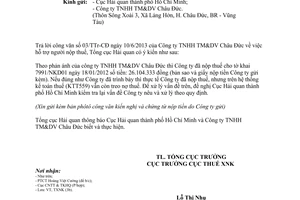 Công văn 3290/TCHQ-TXNK năm 2013 hỗ trợ người nộp thuế
