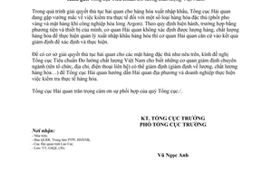 Công văn 3519/TCHQ-GSQL năm 2013 giám định hàng hóa xuất nhập khẩu