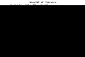 Quyết định 15/2013/QĐ-UBND cử cán bộ từ đơn vị y tế tuyến trên về hỗ trợ tuyến dưới