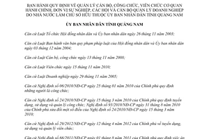 Quyết định 16/2013/QĐ-UBND quản lý cán bộ công viên chức DNNN Quảng Nam