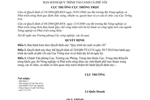 Quyết định 273/QĐ-TT-CCN 2013 Quy trình tái canh cà phê vối