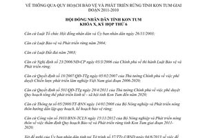 Nghị quyết 09/2013/NQ-HĐND quy hoạch Bảo vệ và Phát triển rừng Kon Tum