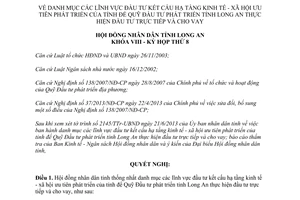 Nghị quyết 98/2013/NQ-HĐND lĩnh vực đầu tư kết cấu hạ tầng kinh tế xã hội ưu tiên phát triển Long An