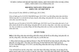 Nghị quyết 107/2013/NQ-HĐND hỗ trợ điều động biệt phái với cán bộ công chức viên chức Long An