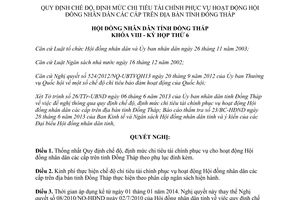 Nghị quyết 106/2013/NQ-HĐND định mức chi tiêu tài chính phục vụ Hội đồng nhân dân các cấp Đồng Tháp