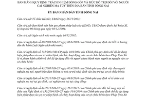 Quyết định 47/2013/QĐ-UBND đóng góp hỗ trợ người cai nghiện ma túy Đồng Nai