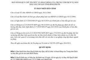 Quyết định 31/2013/QĐ-UBND Trung tâm Dịch vụ bán đấu giá tài sản Bình Phước