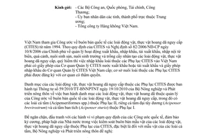 Công văn 2386/BNN-TCLN tăng cường kiểm soát buôn bán quốc tế mẫu vật thuộc CITES 2013