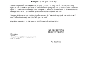 Công văn 720/GSQL-TH năm 2013 vướng mắc C/O mẫu E