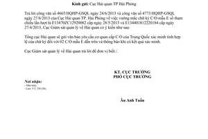 Công văn 616/GSQL-TH năm 2013 vướng mắc C/O mẫu E