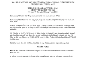 Nghị quyết 09/2013/NQ-HĐND chi cải cách hành chính Cà Mau