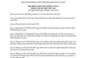 Nghị quyết 04/2013/NQ-HĐND phí qua phà Cà Mau