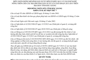 Nghị quyết số 10/2013/NQ-HĐND xây dựng hạ tầng nông nghiệp nông thôn sản xuất lúa