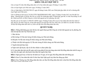 Nghị quyết 21/2013/NQ-HĐND mức thù lao Đội Công tác xã hội tình nguyện xã phường