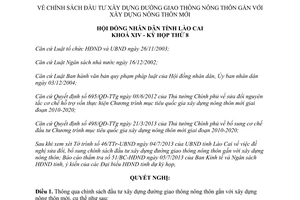 Nghị quyết 11/2013/NQ-HĐND xây dựng đường xây dựng nông thôn mới Lào Cai