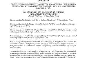Nghị quyết 13/2013/NQ-HĐND trích từ khoản thu hồi phát hiện qua thanh tra Hồ Chí Minh