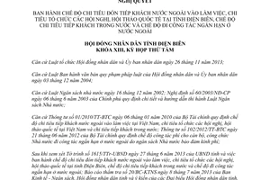 Nghị quyết 307/2013/NQ-HĐND chi tiêu đón tiếp khách nước ngoài Điện Biên