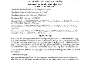 Nghị quyết 100/2013/NQ-HĐND sửa đổi Nghị quyết chính sách phát triển cán bộ Vĩnh Phúc