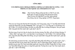Công điện 19/CĐ-TW năm 2013 chủ động đối phó với bão và hoàn lưu của bão
