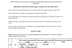 Nghị quyết 89/2013/NQ-HĐND điều chỉnh quy hoạch 3 loại rừng Kỳ Sơn Nghệ An