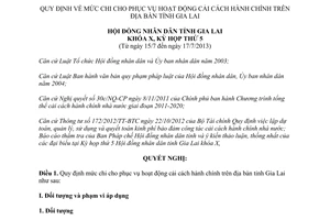 Nghị quyết 77/2013/NQ-HĐND mức chi phục vụ cải cách hành chính Gia Lai