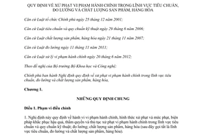 Nghị định 80/2013/NĐ-CP xử phạt vi phạm hành chính tiêu chuẩn đo lường chất lượng sản phẩm