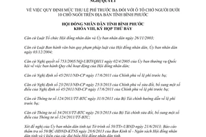 Nghị quyết 06/2013/NQ-HĐND lệ phí trước bạ ô tô chở người dưới 10 chỗ ngồi Bình Phước