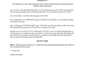 Nghị quyết 09/2013/NQ-HĐND Quy hoạch bảo vệ phát triển rừng 2020 Hải Phòng