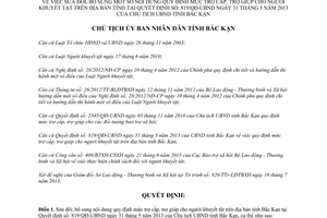 Quyết định 1164/QĐ-UBND năm 2013 mức trợ cấp trợ giúp người khuyết tật Bắc Kạn