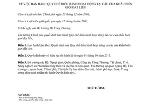 Quyết định 45/2013/QĐ-TTg Quy chế điều hành hoạt động tại cửa khẩu biên giới đất liền